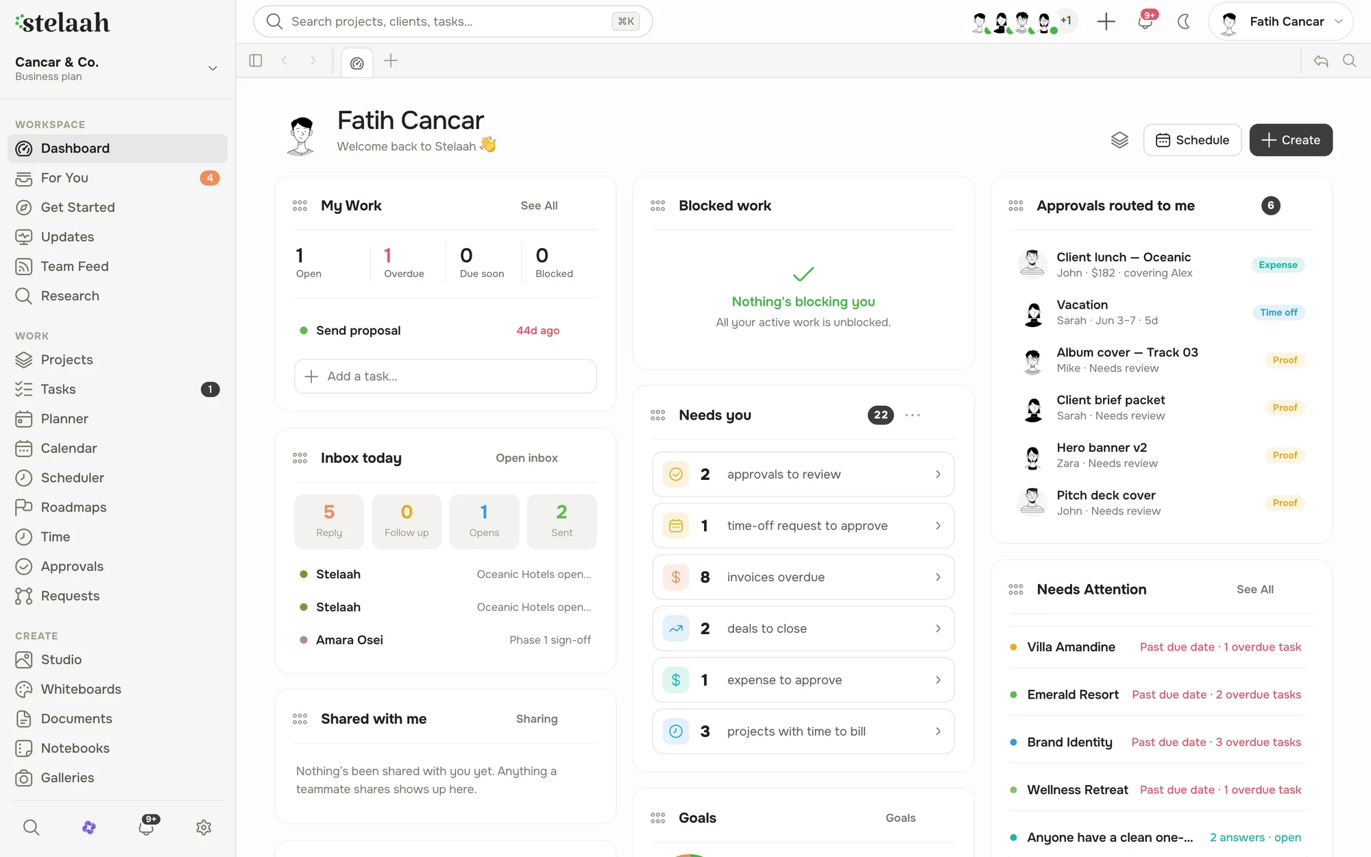 the Stelaah dashboard bringing projects, clients, and money together