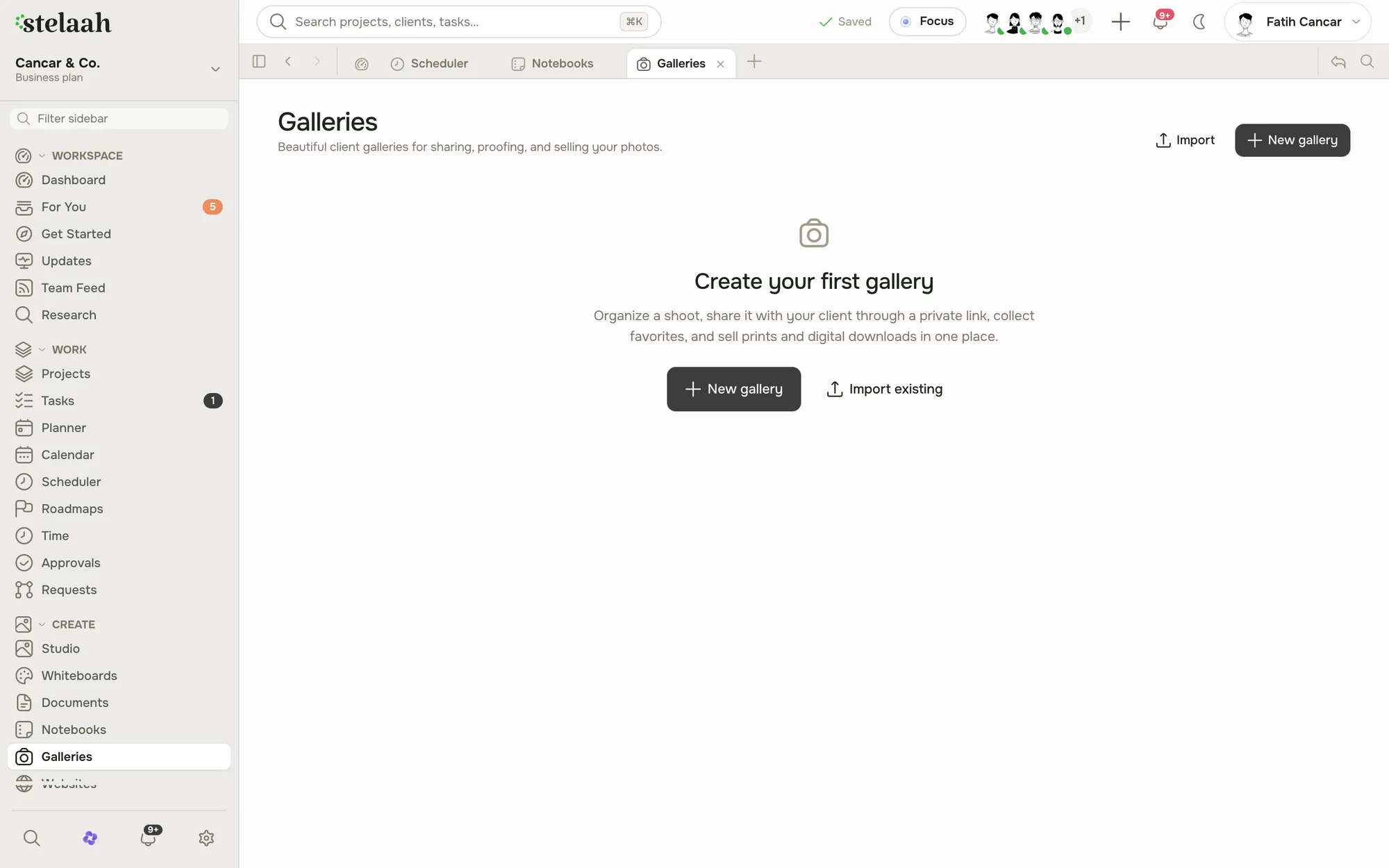 The Stelaah Galleries view for sharing and proofing client photos