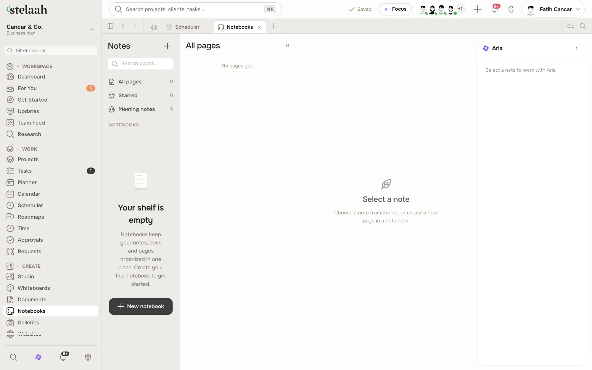 The Stelaah Notebooks view with notes and pages organized in one place