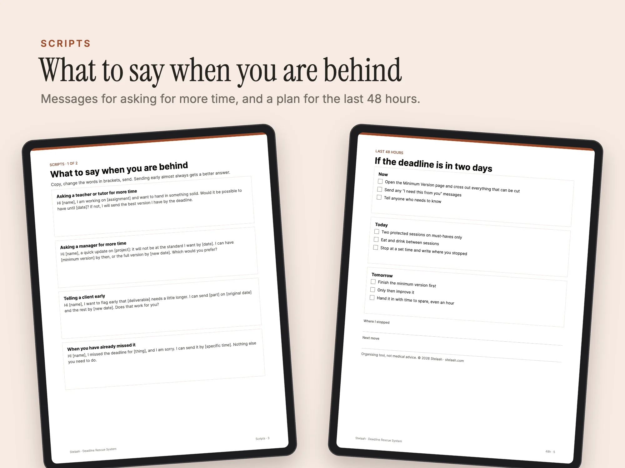 Stelaah Deadline Rescue System: Scripts