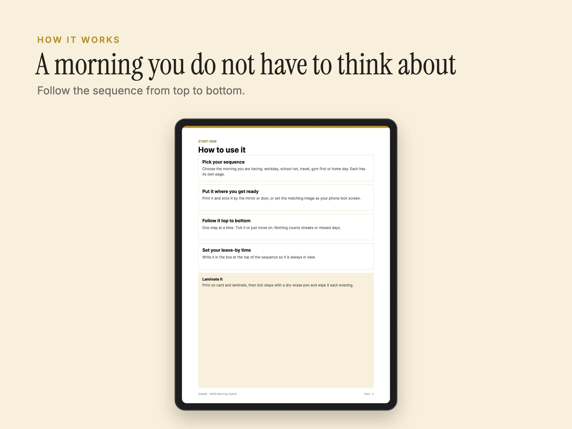 Stelaah ADHD Morning Launch: How it works