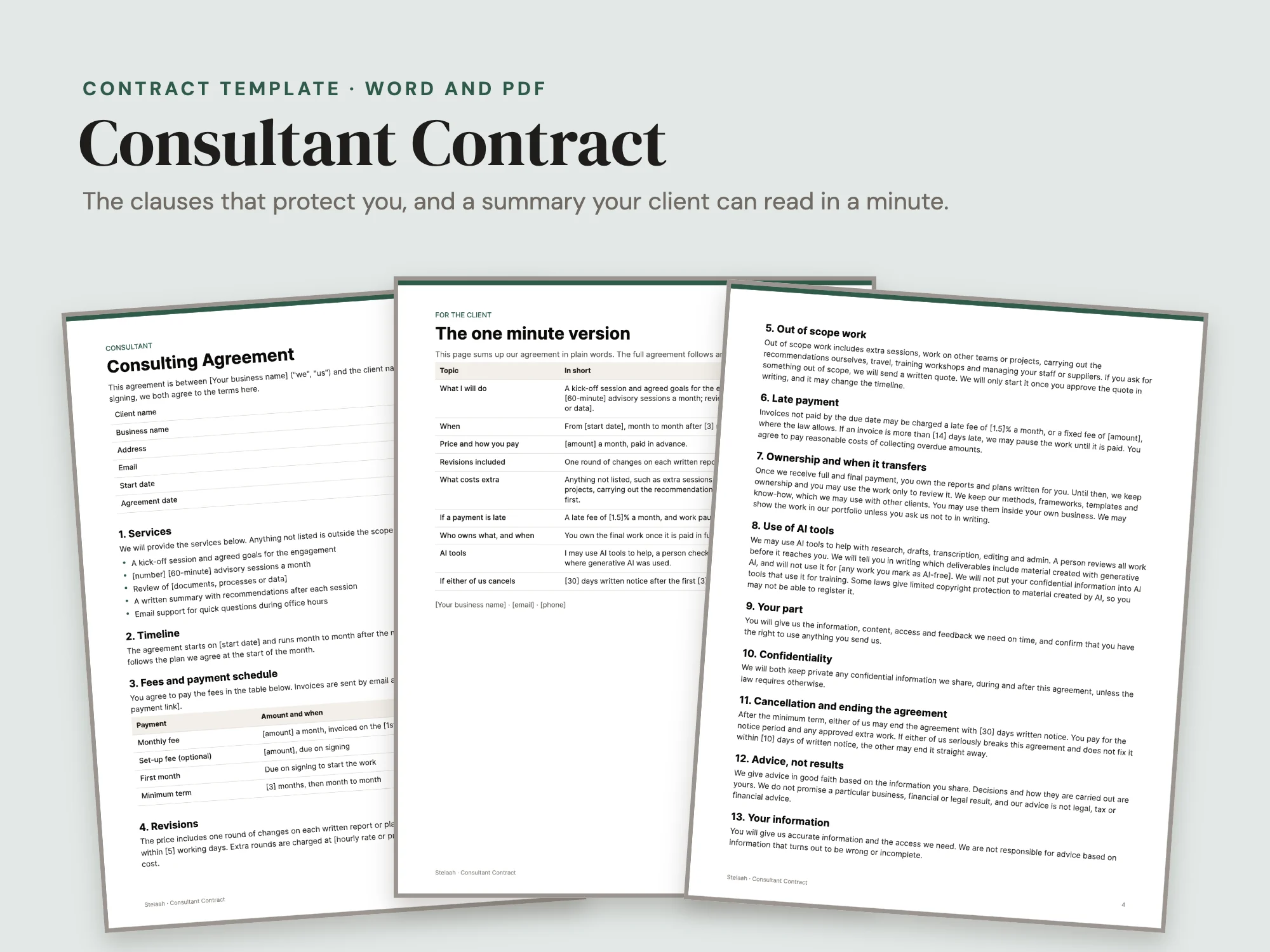 Cover of the Consultant Contract