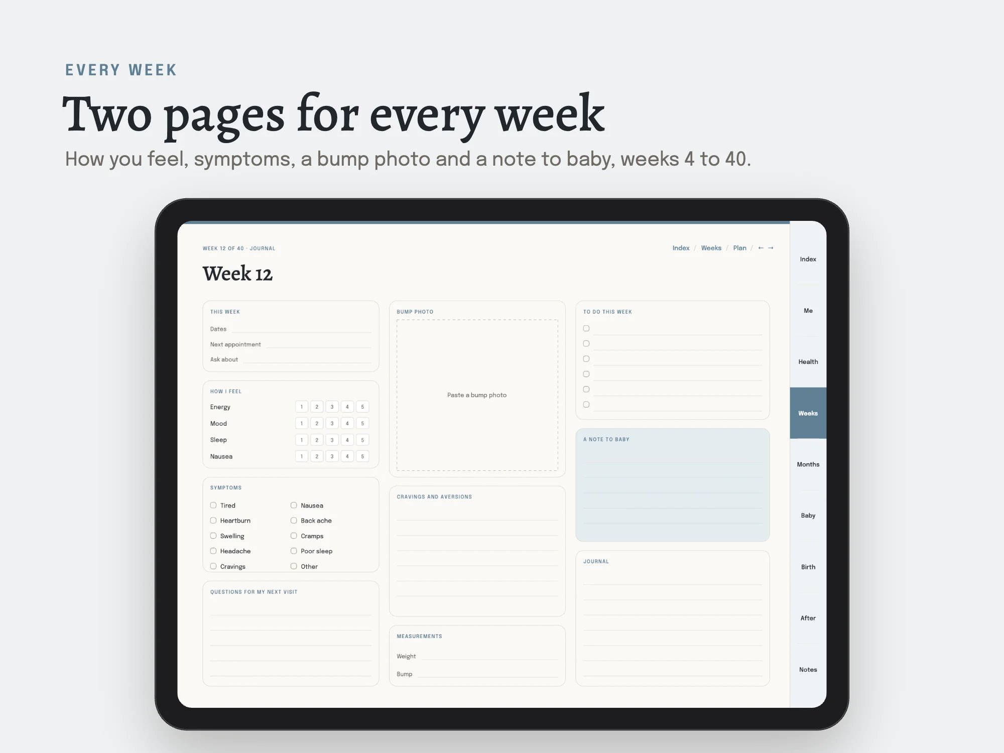 Pregnancy Planner: Weekly journal