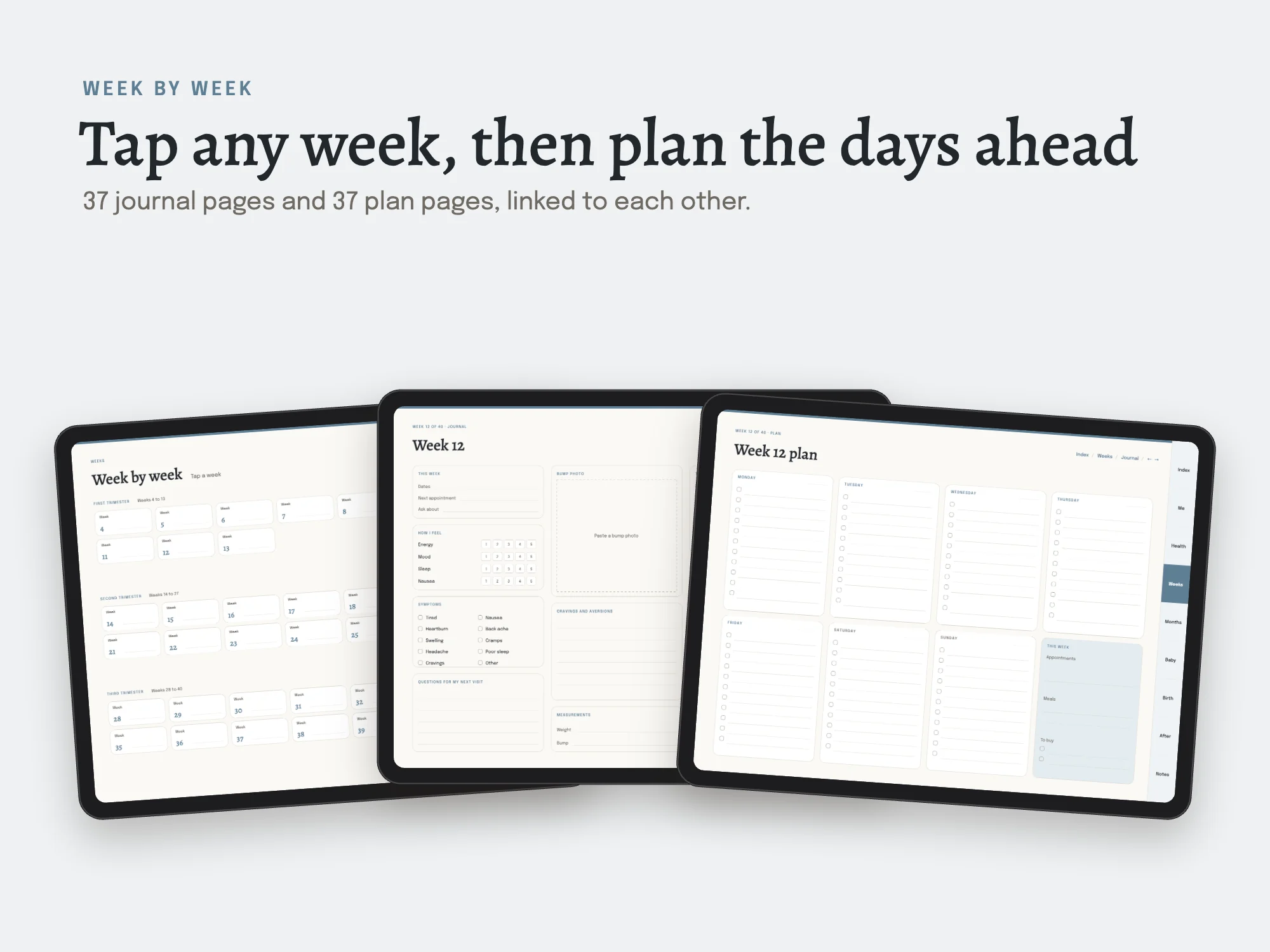 Pregnancy Planner: Week by week