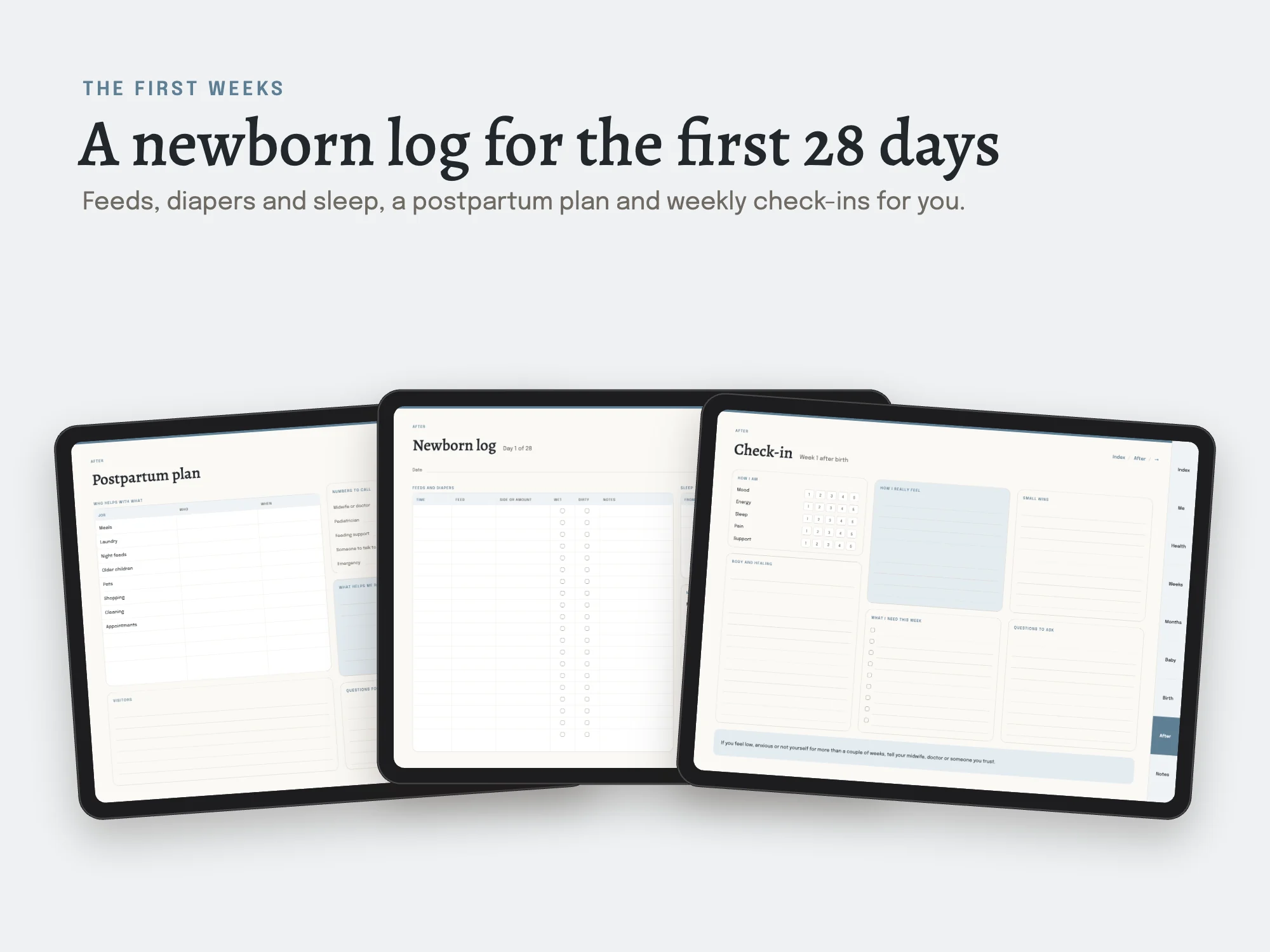 Pregnancy Planner: After the birth