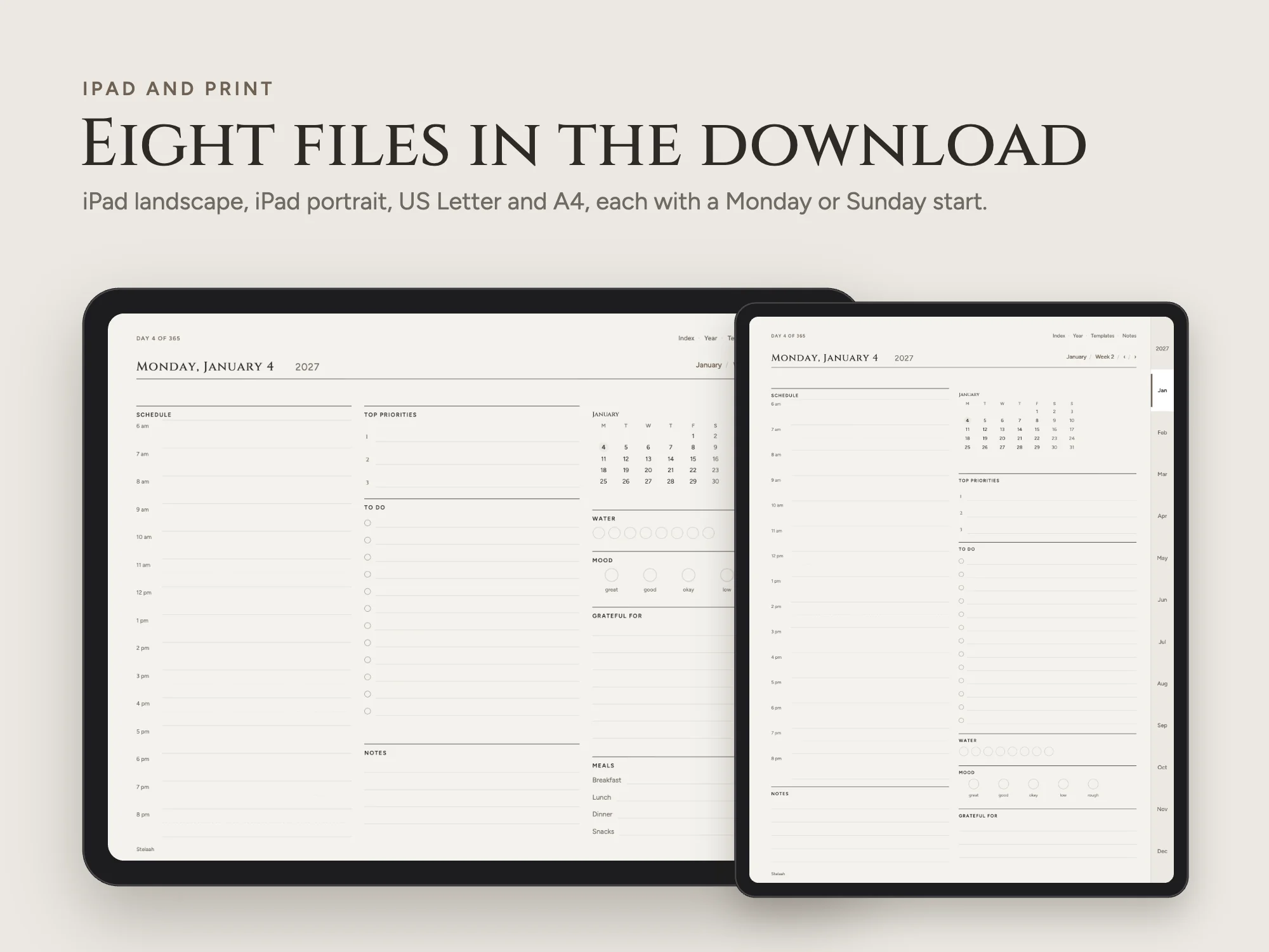Free 2027 New Year Resolution Planner: iPad and print