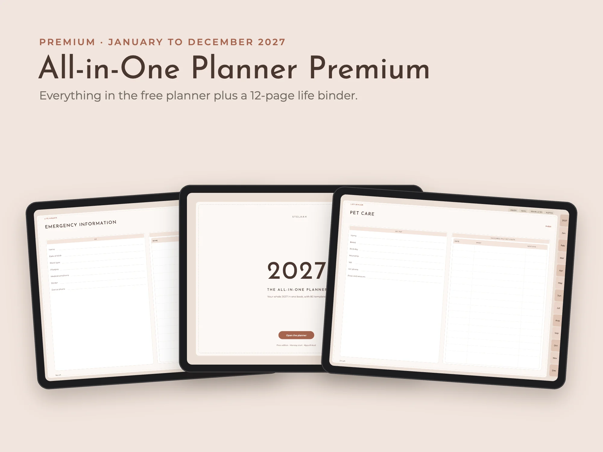 Cover of the 2027 All-in-One Planner Premium with Life Binder