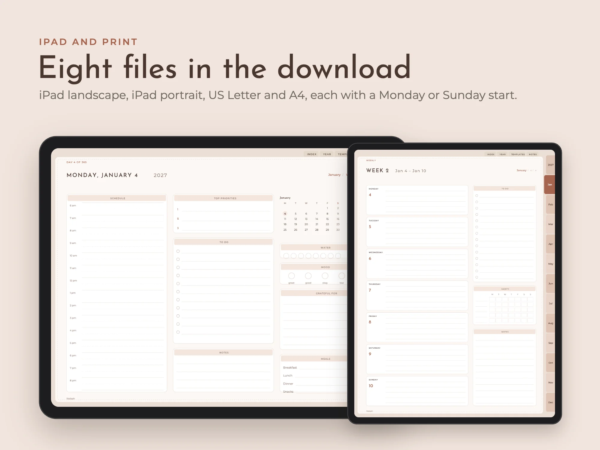 2027 All-in-One Planner Premium with Life Binder: iPad and print
