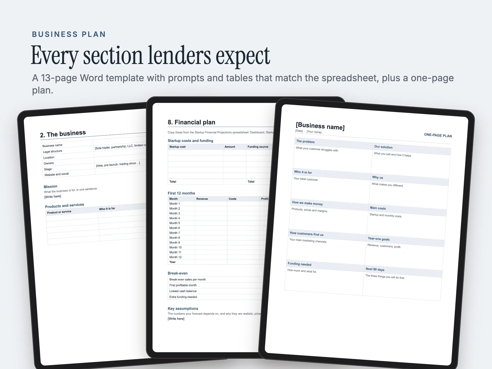 Business Plan and Startup Kit: Business plan