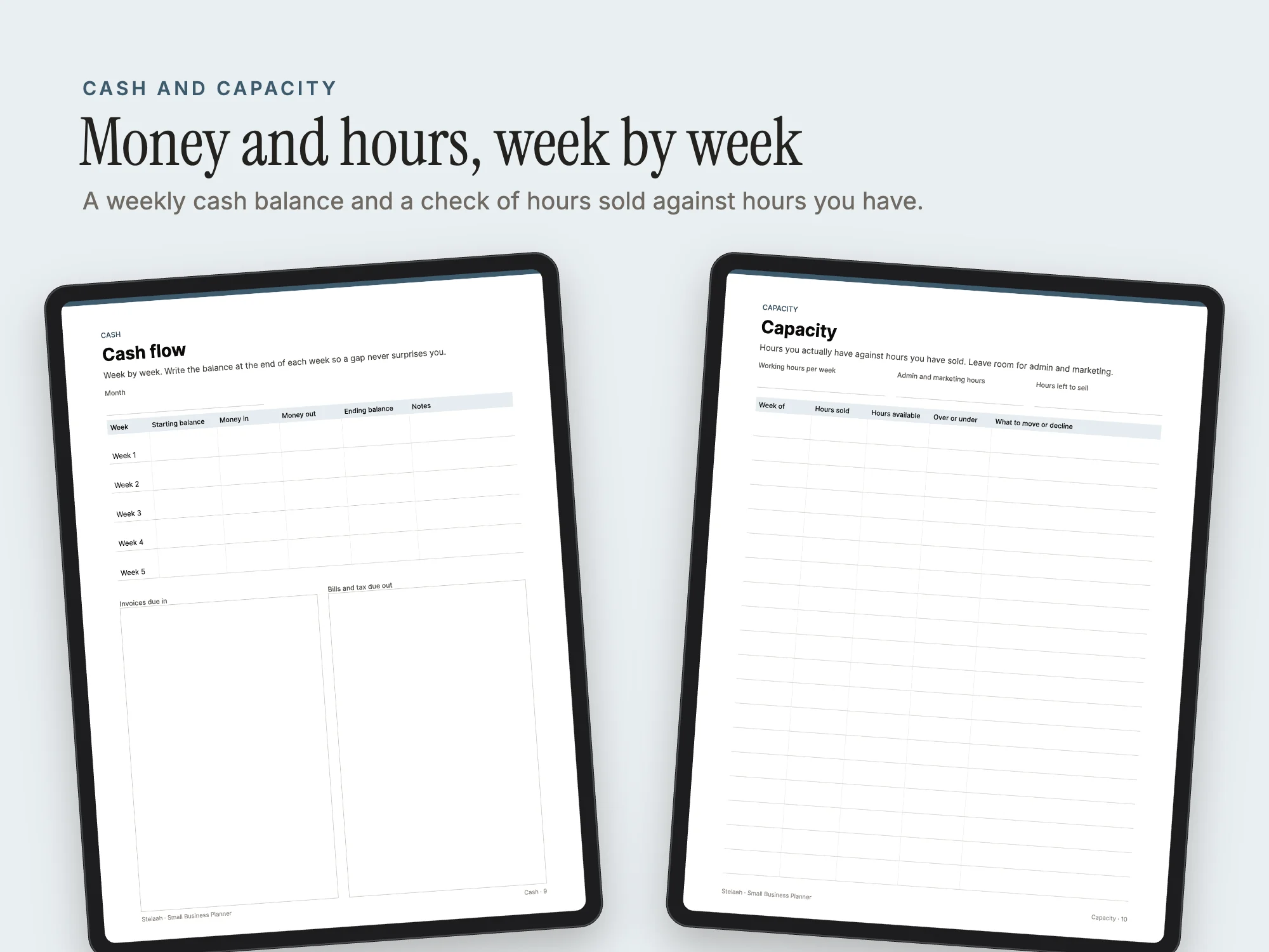Small Business Planner: Cash and capacity