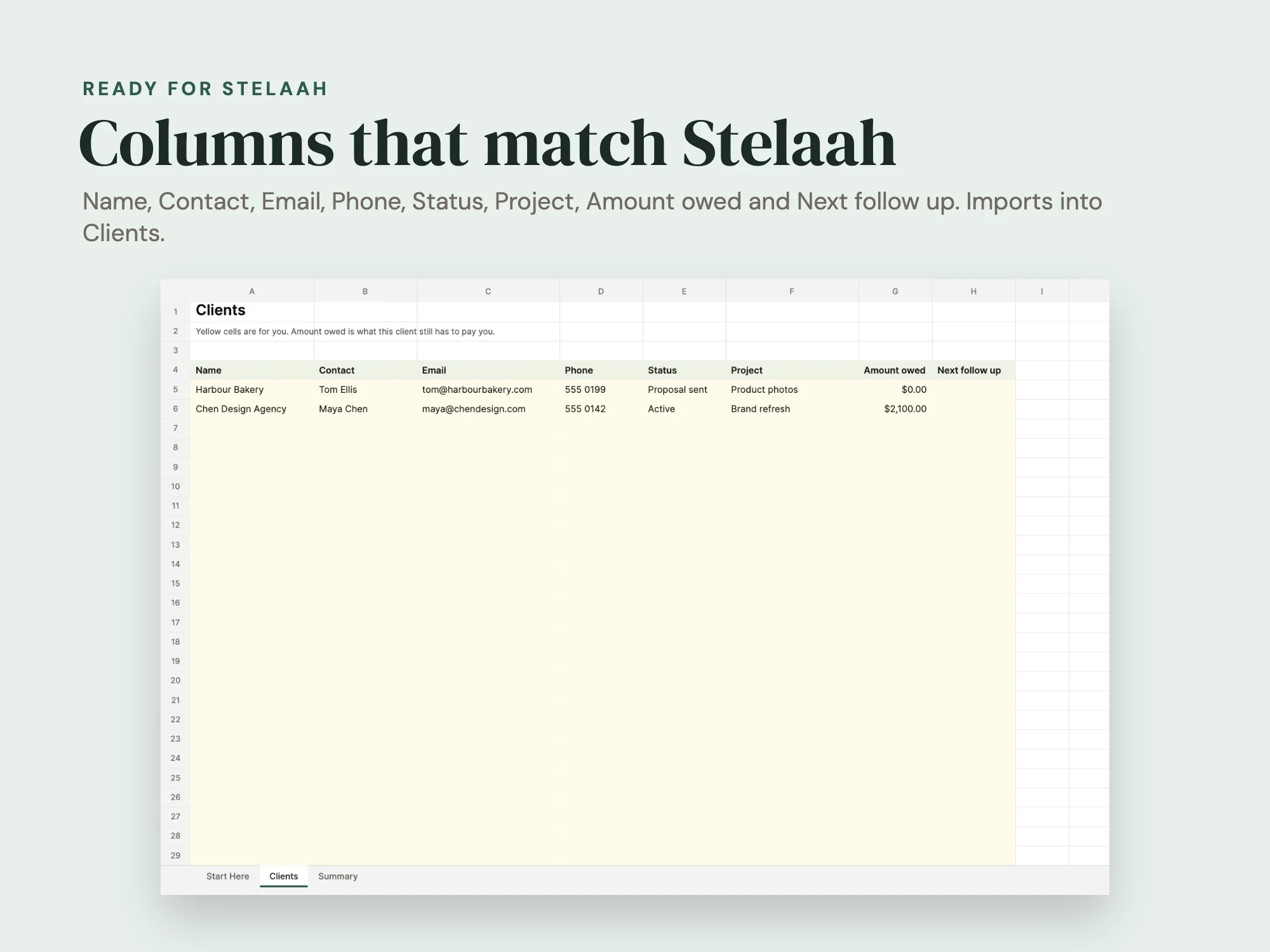 Client Tracker Sheet: Ready for Stelaah